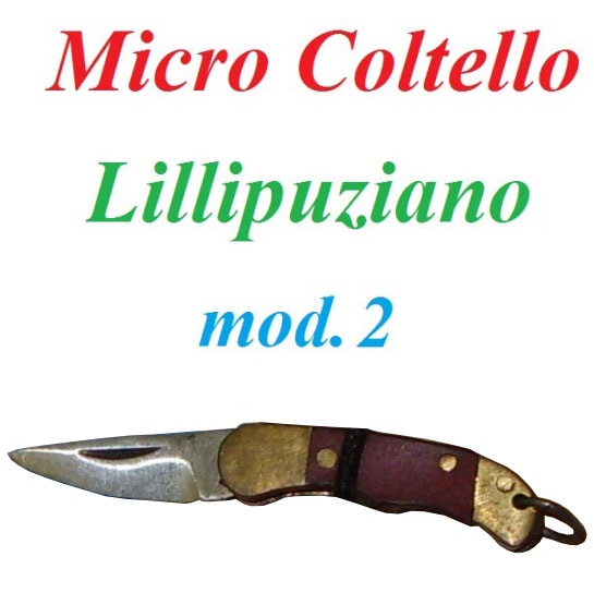Micro coltello lillipuziano modello due - mini coltello a serramanico da  collezione - replica in miniatura di coltello con lama mobile miniature e  ninja coltelli miniature FOX