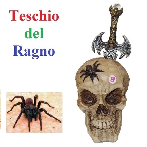 Teschio del ragno - soprammobile da collezione a forma di cranio umano con  ragno e mini spada conficcata teschi e scheletri collezionismo teschi DM
